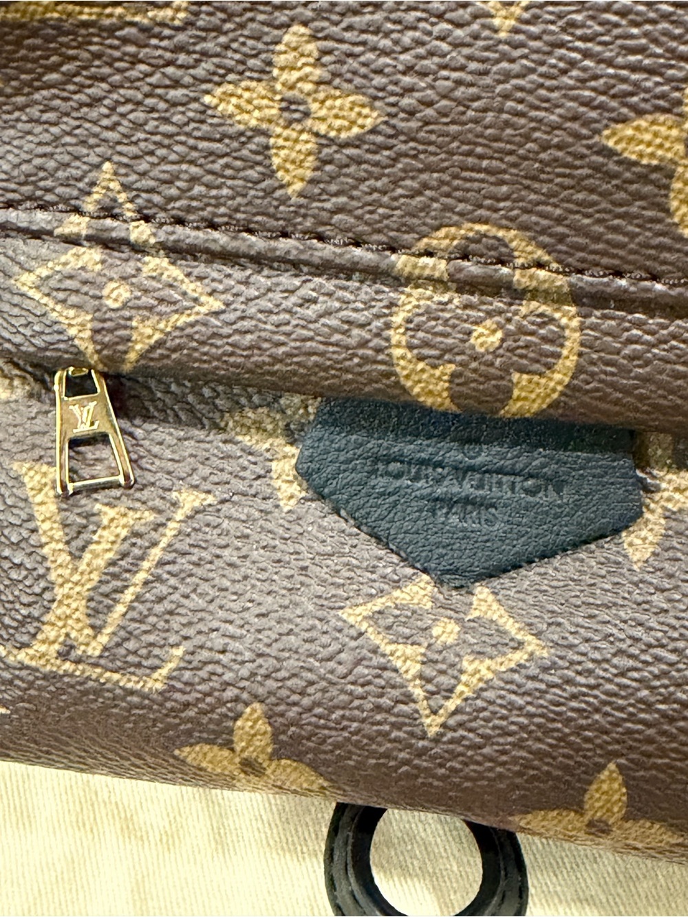 Louis Vuitton Palm Springs Mini Monogram - Picture 13 of 14
